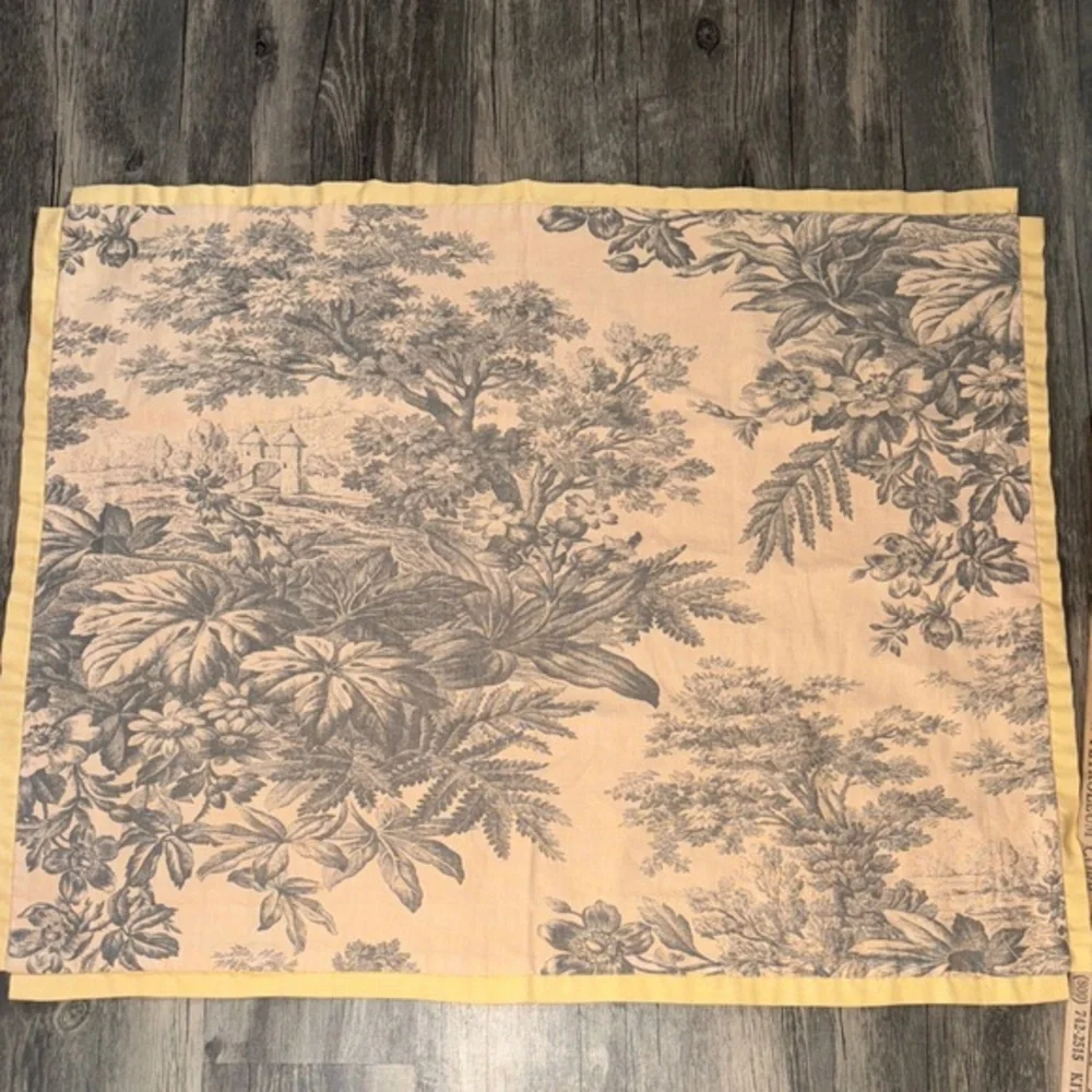 Pottery Barn Floral set of Two Euro Shams - Matine Toile pattern- discontinued